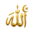 icon showing ALLAH names